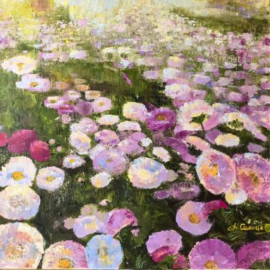 Мамины астры-2