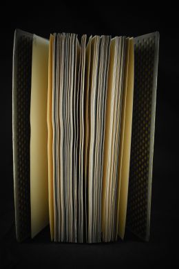 Современный балет (Светлов В., при участии Л.Бакста, 1911 г.)