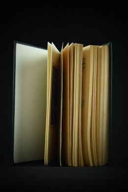 Фридрих Шиллер. Избранные произведения (в двух томах)