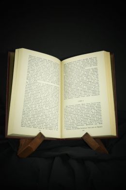 Битва при Ваграме (Жиль Лапуж)