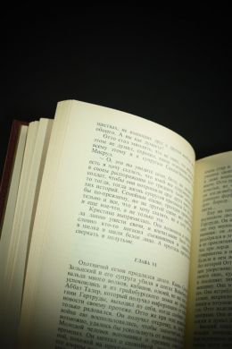 Битва при Ваграме (Жиль Лапуж)