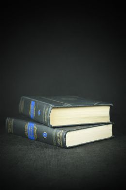 Фридрих Шиллер. Избранные произведения (в двух томах)