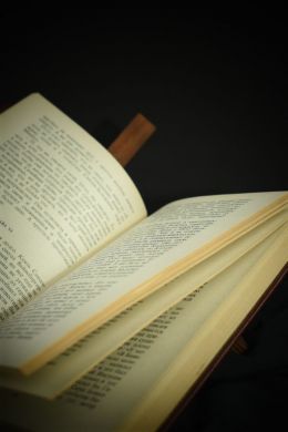 Битва при Ваграме (Жиль Лапуж)