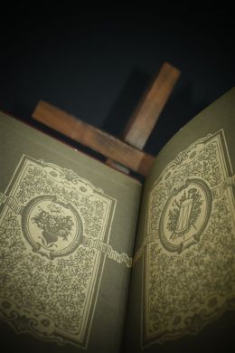 Битва при Ваграме (Жиль Лапуж)