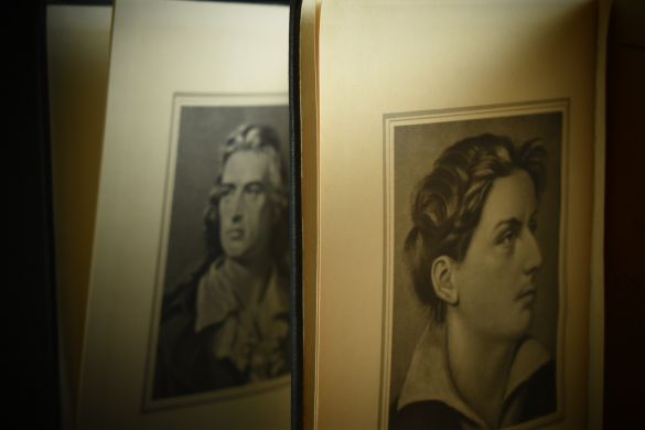 Фридрих Шиллер. Избранные произведения (в двух томах)