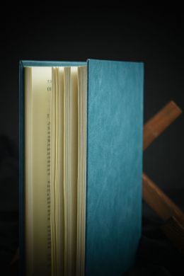 Рыба красного цвета. История одной тайной войны (У. Хинкл, У. Тернер)