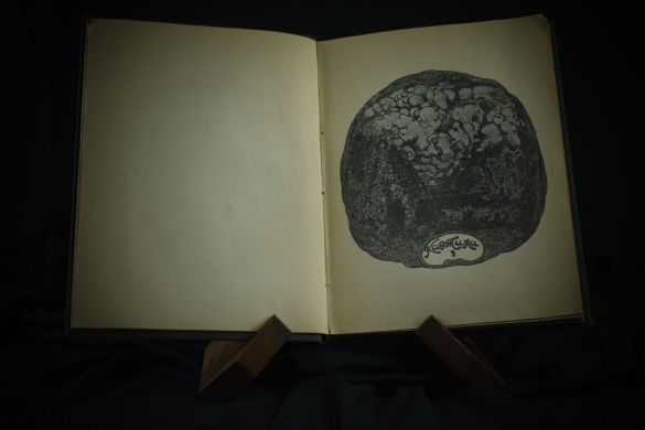 Океан (Л.Андреев, 1911 г.)