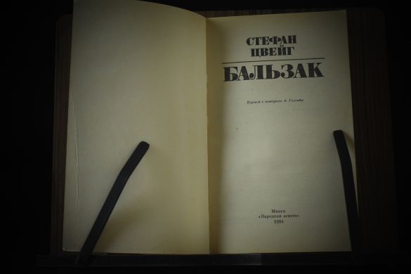Жизнеописания творцов и мыслителей (Бальзак, Бетховен, Микеланджело, Толстой)