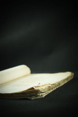 Сенсации и замечания госпожи Курдюковой (Иван Мятлев, 1856 г.)