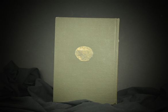 Океан (Л.Андреев, 1911 г.)(копия)