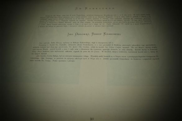 Альбом Яна Матейко (1873 г.)(копия)