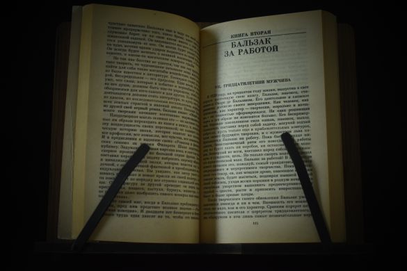 Жизнеописания (Бальзак, Бетховен, Микеланджело, Толстой)(копия)