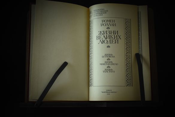 Жизнеописания (Бальзак, Бетховен, Микеланджело, Толстой)(копия)