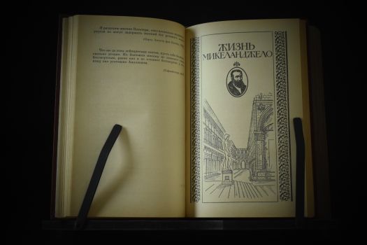 Жизнеописания творцов и мыслителей (Бальзак, Бетховен, Микеланджело, Толстой)