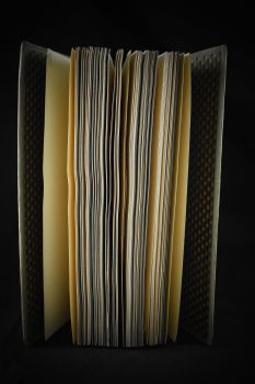 Современный балет (Светлов В., при участии Л.Бакста, 1911 г.)