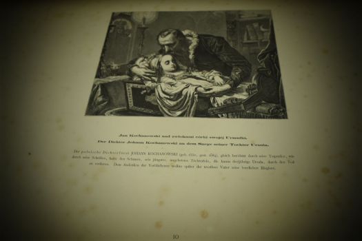 Альбом Яна Матейко (1873 г.)