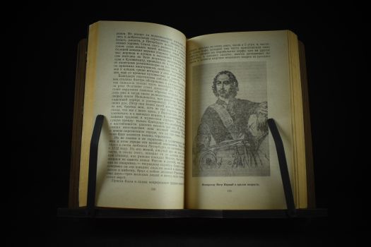 Архитекторы власти (Наполеон, Цезарь, Македонский, Романовы, Рождение Британии)