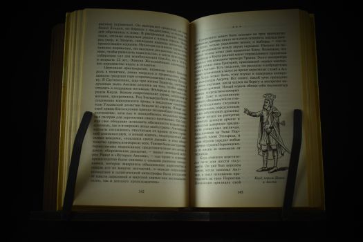 Архитекторы власти (Наполеон, Цезарь, Македонский, Романовы, Рождение Британии)(копия)