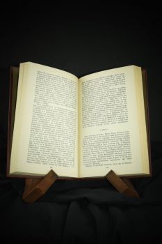 Битва при Ваграме (Жиль Лапуж)