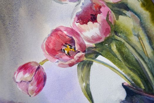 Тюльпаны (Данилюк Ольга Геннадьевна)