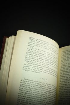 Битва при Ваграме (Жиль Лапуж)