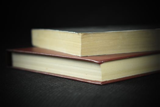 Жизнеописания (Бальзак, Бетховен, Микеланджело, Толстой)(копия)