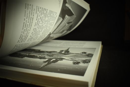 Сокровища русского севера