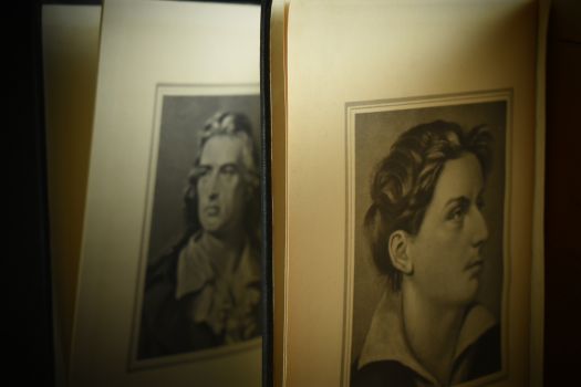 Фридрих Шиллер. Избранные произведения (в двух томах)