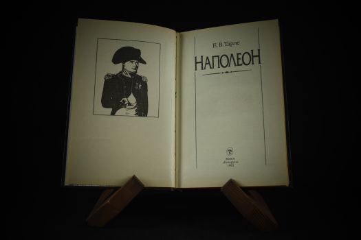 Архитекторы власти (Наполеон, Цезарь, Македонский, Романовы, Рождение Британии)(копия)