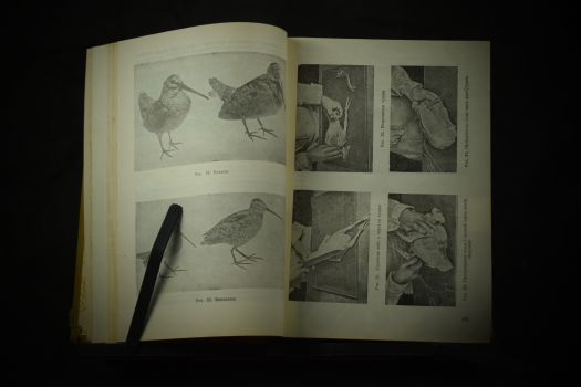 Сотиров Н. Современная кухня. 3000 рецептов. 1963 г.