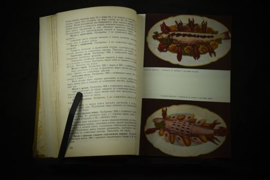 Сотиров Н. Современная кухня. 3000 рецептов. 1963 г.