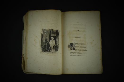 Сенсации и замечания госпожи Курдюковой (Иван Мятлев, 1856 г.)(копия)