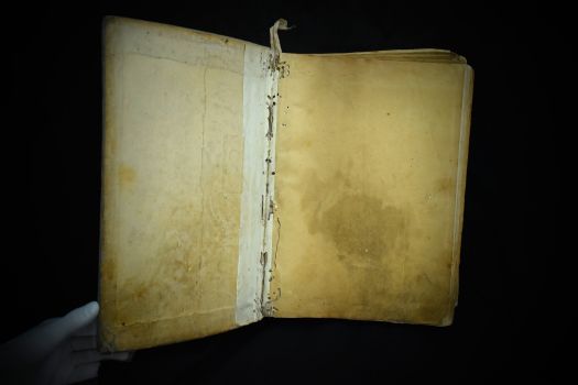 Обиход церковного пения (Пинск, 1929 г.)