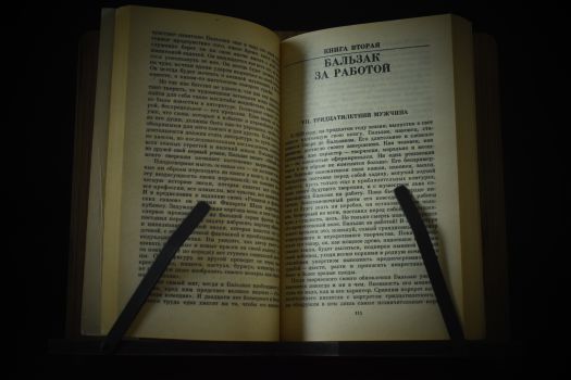 Жизнеописания творцов и мыслителей (Бальзак, Бетховен, Микеланджело, Толстой)