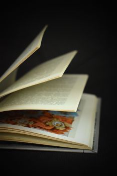 Беседы о фалеристике