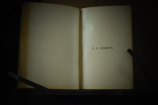 Русские писатели [Бригадир. Недоросль. Ябеда. Горе от ума] под ред. И.А.Бунина (1921 г.)(копия)