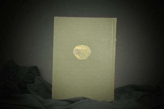 Океан (Л.Андреев, 1911 г.)(копия)