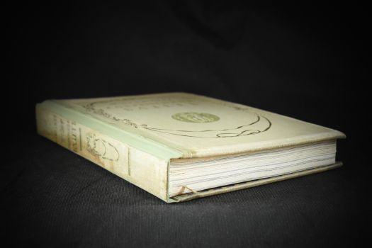 Современный балет (Светлов В., при участии Л.Бакста, 1911 г.)(копия)