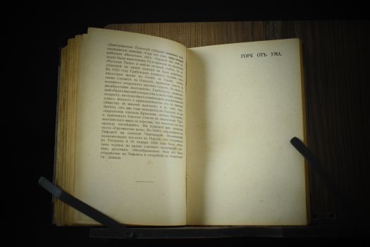 Русские писатели [Бригадир. Недоросль. Ябеда. Горе от ума] под ред. И.А.Бунина (1921 г.)(копия)