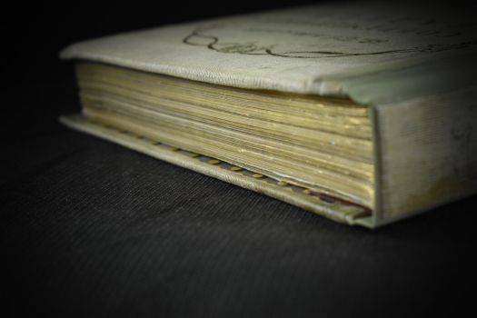 Современный балет (Светлов В., при участии Л.Бакста, 1911 г.)