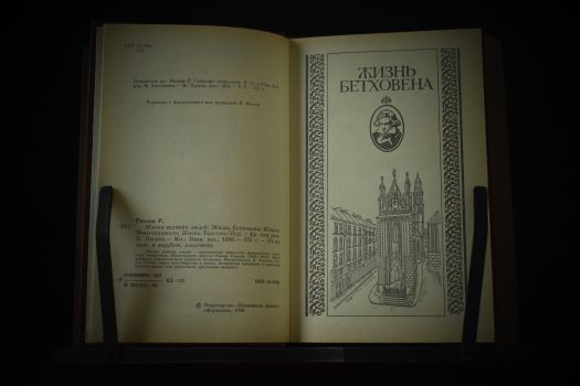 Жизнеописания (Бальзак, Бетховен, Микеланджело, Толстой)(копия)